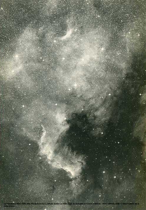 La nébuleuse NGC 7000, dite "North America". Cliché réalisé au Télescope de Schmidt de Calern (TESCA) - INSU CERGA, 1986. © Observatoire de la Côte d'Azur.