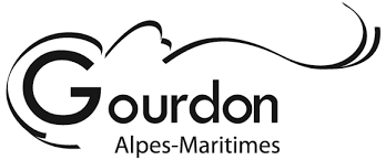 Logo groudon